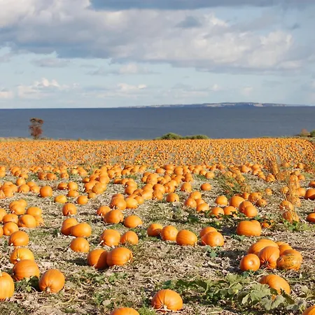 Nordgarden Konukevi 3*